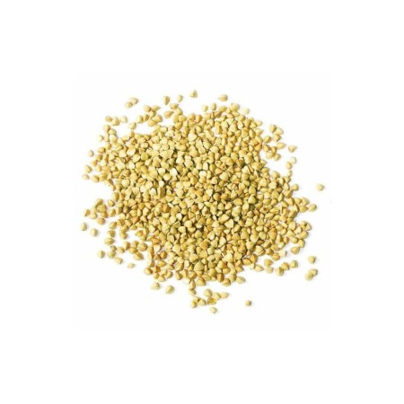 Kasza gryczana biała niepalona