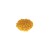 Kukurydza popcorn