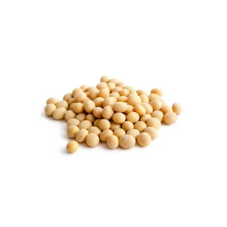 BIO Soja EKOLOGICZNA ziarno