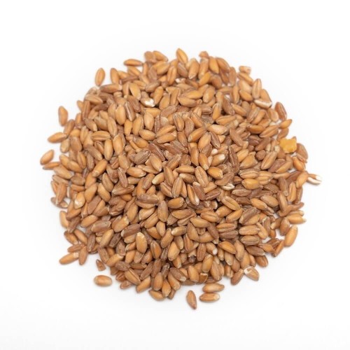 Przejdź do produktu Ziarno pszenicy 1kg