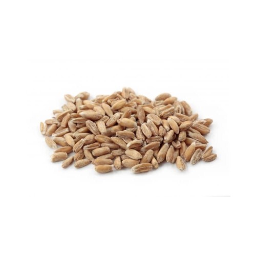 Przejdź do produktu BIO Ziarno płaskurki EKOLOGICZNE 1kg